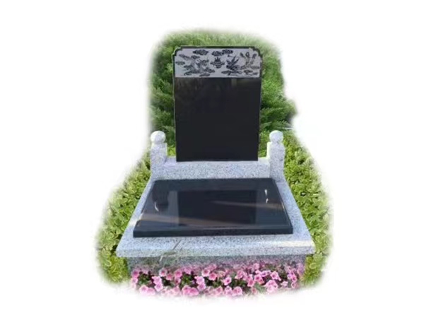 �ɻ�����Ĺ